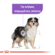 ROYAL CANIN MEDIUM STERILISED