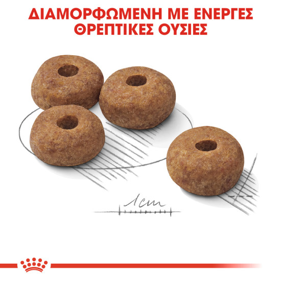 ROYAL CANIN MEDIUM STERILISED
