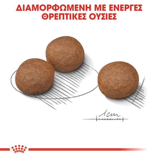 ROYAL CANIN MEDIUM DIGESTIVE CARE