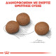 ROYAL CANIN MEDIUM DIGESTIVE CARE