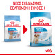 ROYAL CANIN MEDIUM PUPPY ROYAL CANIN MEDIUM PUPPY