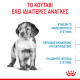 ROYAL CANIN MEDIUM PUPPY ROYAL CANIN MEDIUM PUPPY
