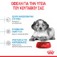 ROYAL CANIN MEDIUM PUPPY ROYAL CANIN MEDIUM PUPPY