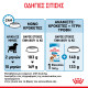 ROYAL CANIN MEDIUM PUPPY ROYAL CANIN MEDIUM PUPPY