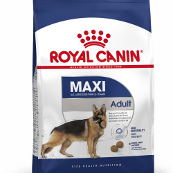 ROYAL CANIN MAXI ADULT