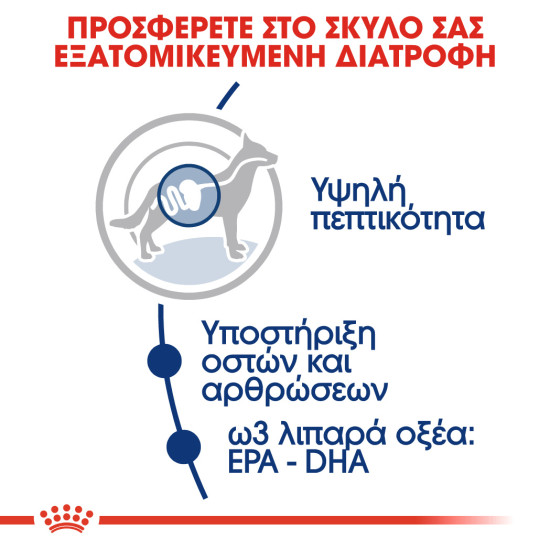 ROYAL CANIN MAXI ADULT