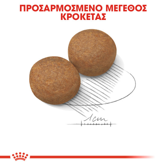 ROYAL CANIN MAXI ADULT
