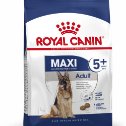 ROYAL CANIN MAXI ADULT 5+