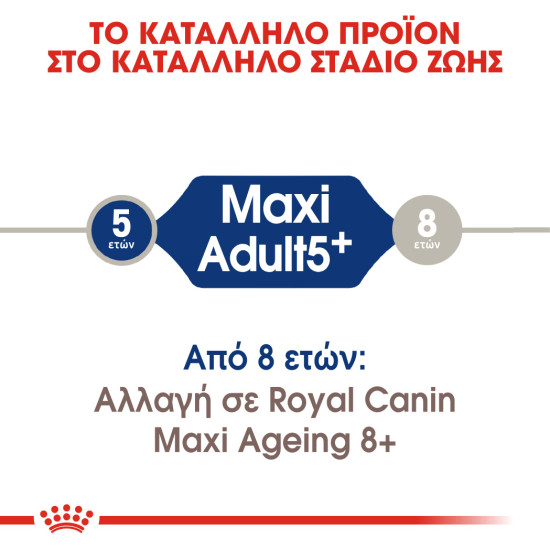 ROYAL CANIN MAXI ADULT 5+