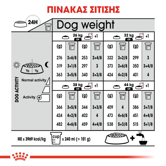 ROYAL CANIN MAXI DERMACOMFORT