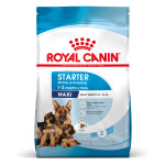 ROYAL CANIN MAXI STARTER