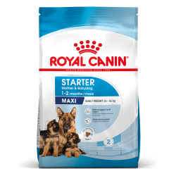 ROYAL CANIN MAXI STARTER