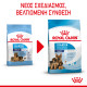 ROYAL CANIN MAXI STARTER ROYAL CANIN MAXI STARTER