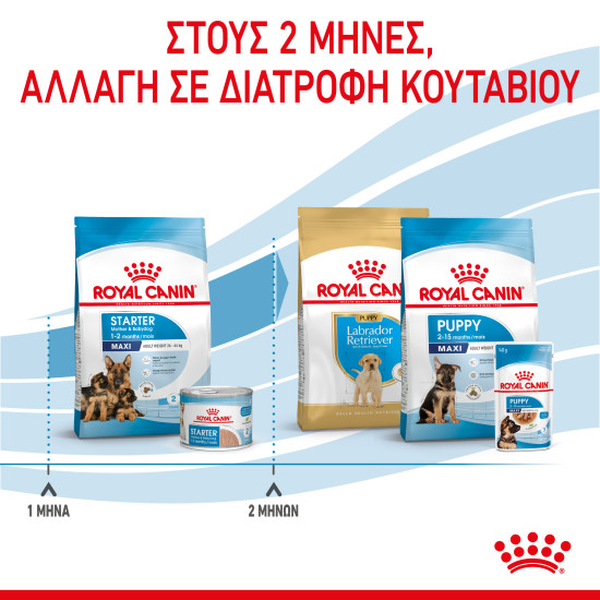 ROYAL CANIN MAXI STARTER ROYAL CANIN MAXI STARTER