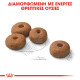 ROYAL CANIN MAXI STERILISED
