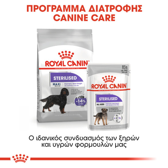 ROYAL CANIN MAXI STERILISED