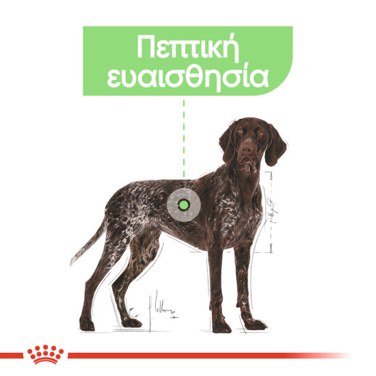 ROYAL CANIN MAXI DIGESTIVE CARE