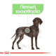 ROYAL CANIN MAXI DIGESTIVE CARE
