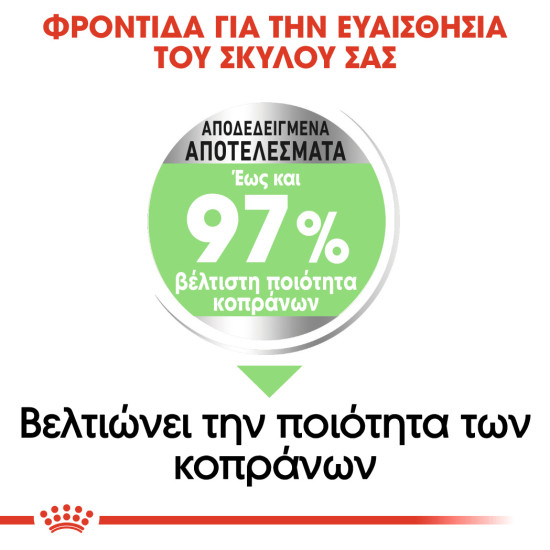 ROYAL CANIN MAXI DIGESTIVE CARE