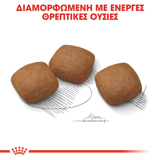 ROYAL CANIN MAXI JOINTCARE
