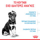 ROYAL CANIN MAXI PUPPY ROYAL CANIN MAXI PUPPY