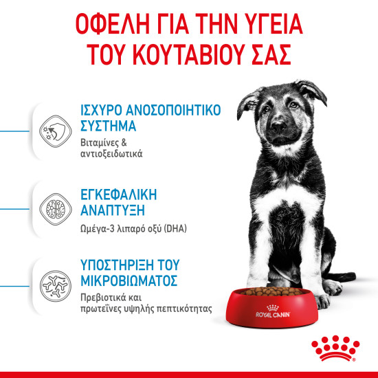 ROYAL CANIN MAXI PUPPY ROYAL CANIN MAXI PUPPY