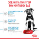 ROYAL CANIN MAXI PUPPY ROYAL CANIN MAXI PUPPY
