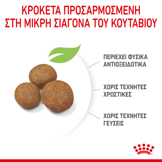 ROYAL CANIN MAXI PUPPY ROYAL CANIN MAXI PUPPY
