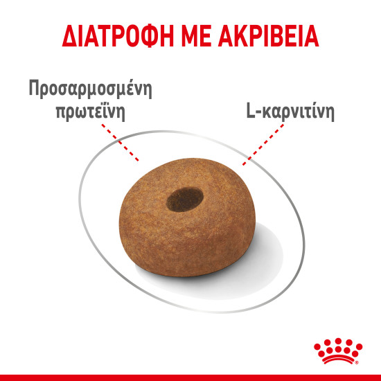 ROYAL CANIN MAXI LIGHT WEIGHT CARE