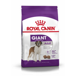 ROYAL CANIN GIANT ADULT