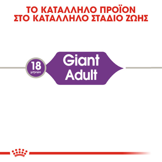 ROYAL CANIN GIANT ADULT