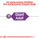 ROYAL CANIN GIANT ADULT