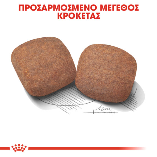 ROYAL CANIN GIANT ADULT
