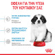 ROYAL CANIN GIANT PUPPY ROYAL CANIN GIANT PUPPY