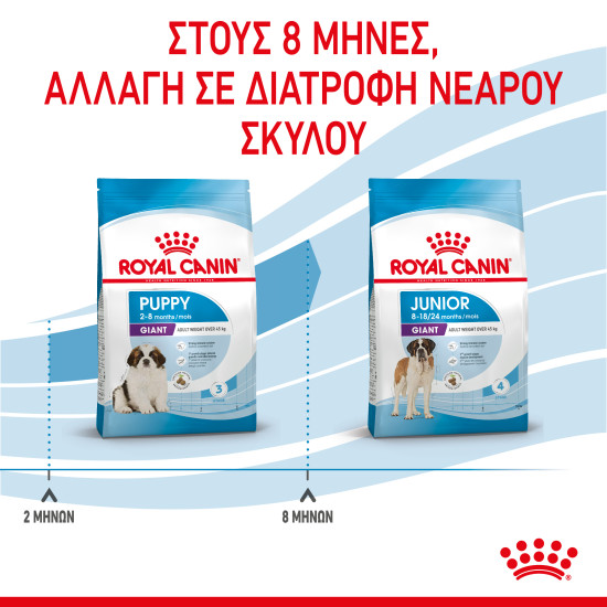 ROYAL CANIN GIANT PUPPY ROYAL CANIN GIANT PUPPY