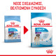 ROYAL CANIN GIANT JUNIOR ROYAL CANIN GIANT JUNIOR