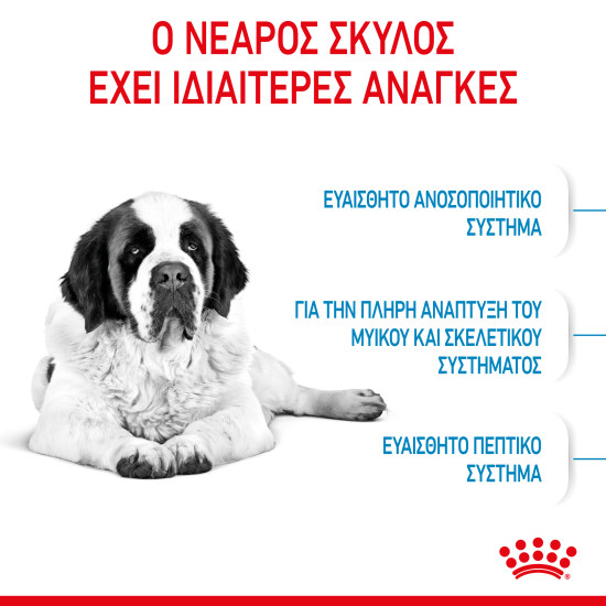 ROYAL CANIN GIANT JUNIOR ROYAL CANIN GIANT JUNIOR