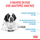 ROYAL CANIN GIANT JUNIOR ROYAL CANIN GIANT JUNIOR