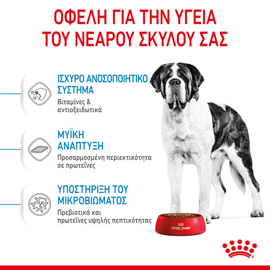 ROYAL CANIN GIANT JUNIOR ROYAL CANIN GIANT JUNIOR