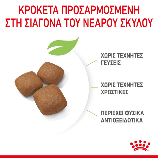ROYAL CANIN GIANT JUNIOR ROYAL CANIN GIANT JUNIOR