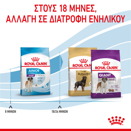 ROYAL CANIN GIANT JUNIOR ROYAL CANIN GIANT JUNIOR