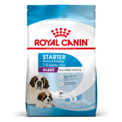ROYAL CANIN GIANT STARTER