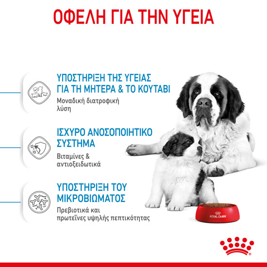 ROYAL CANIN GIANT STARTER ROYAL CANIN GIANT STARTER