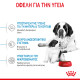 ROYAL CANIN GIANT STARTER ROYAL CANIN GIANT STARTER