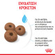 ROYAL CANIN GIANT STARTER ROYAL CANIN GIANT STARTER