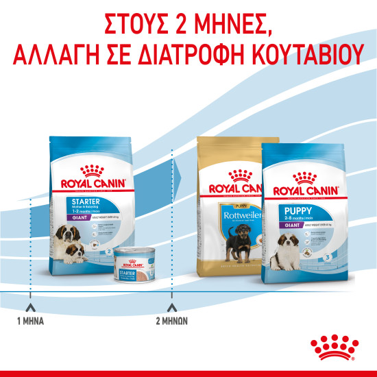 ROYAL CANIN GIANT STARTER ROYAL CANIN GIANT STARTER