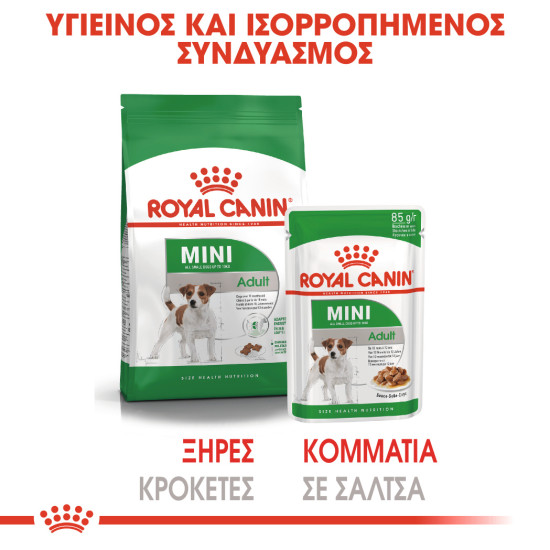 ROYAL CANIN MINI ADULT 12X