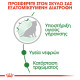 ROYAL CANIN MINI AGEING 12X