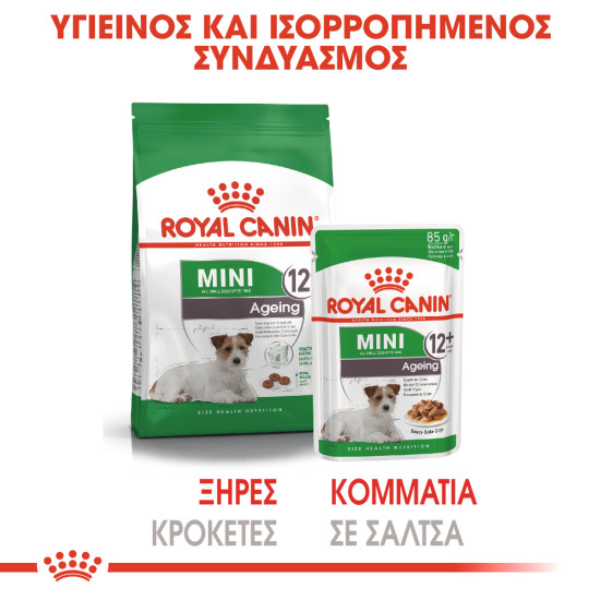 ROYAL CANIN MINI AGEING 12X