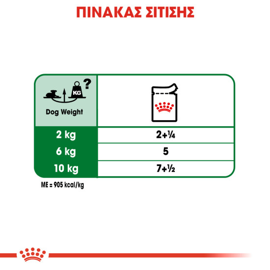 ROYAL CANIN MINI AGEING 12X